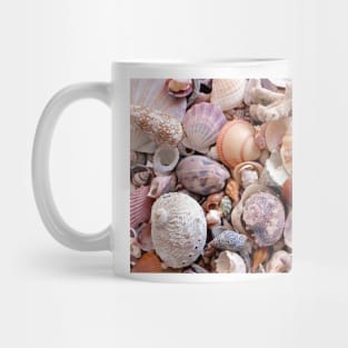 Seashells Mug